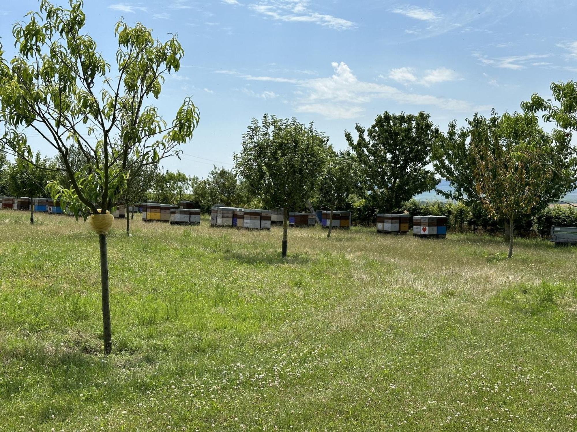 Вилла Happy Cernay-les-Reims Экстерьер фото