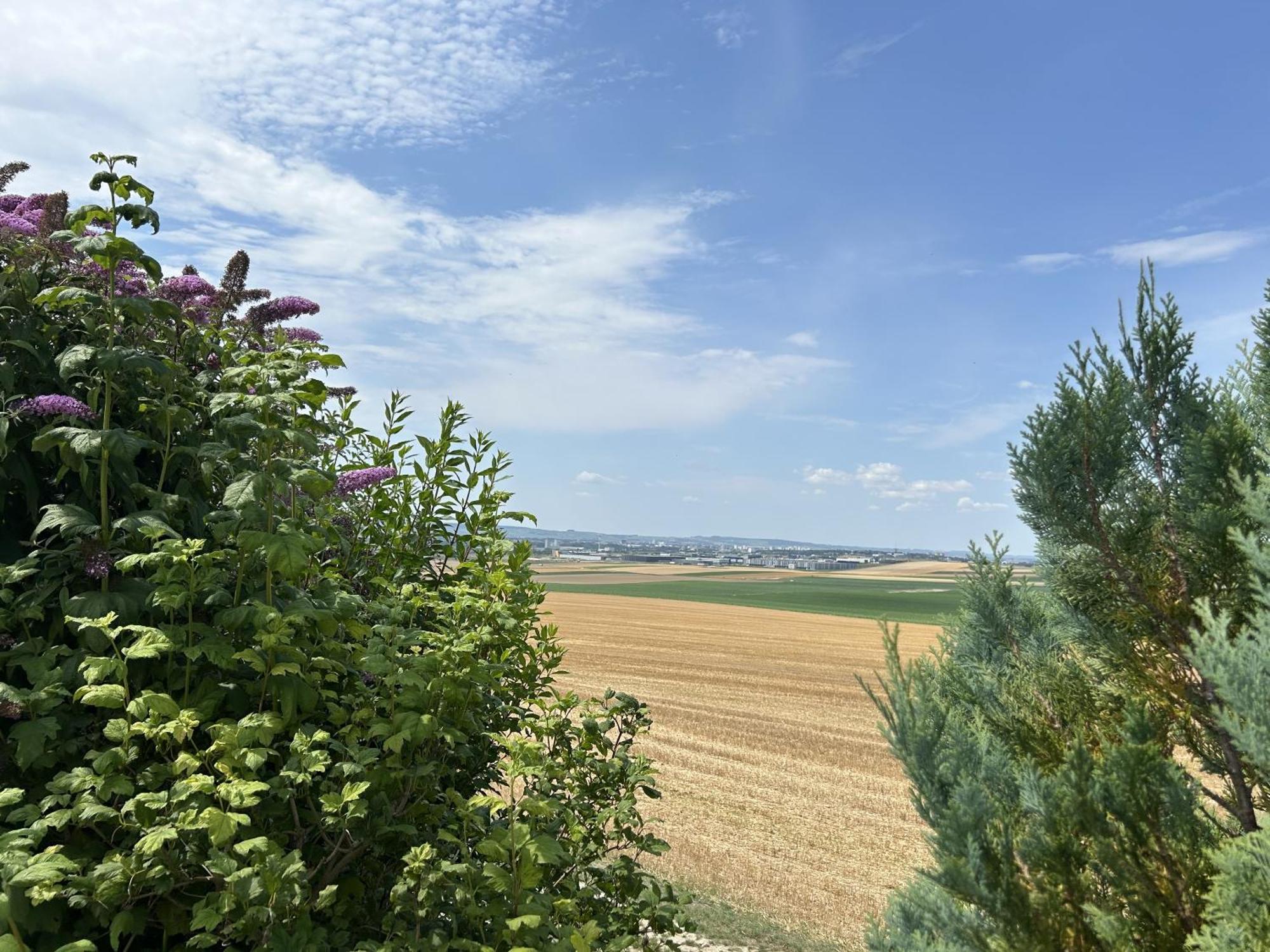 Вилла Happy Cernay-les-Reims Экстерьер фото